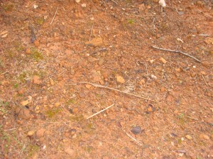 Fallow Ground is Ground That Has Not Been Plowed