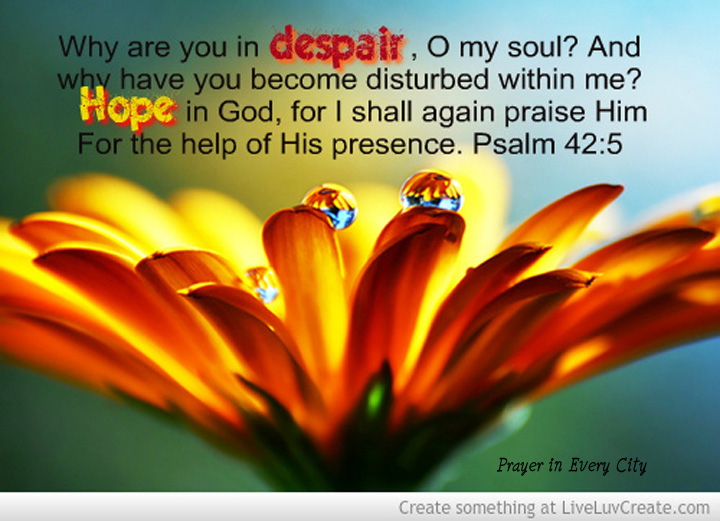 Why are you in despair 2