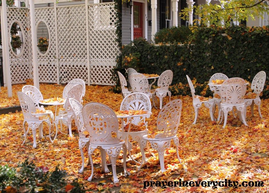 cropped fall garden 3