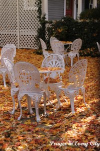 Fall Garden Chairs