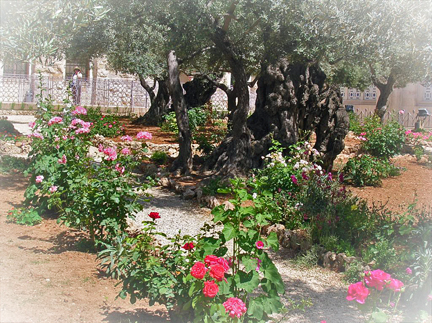 Gethsemane
