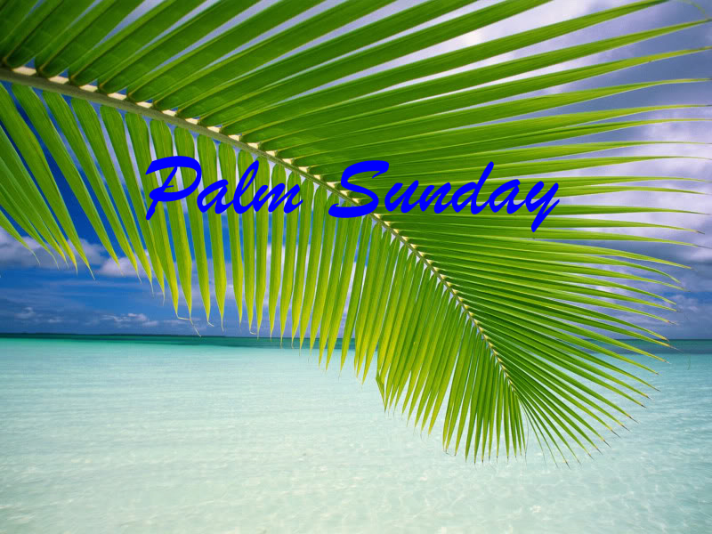 palm sunday