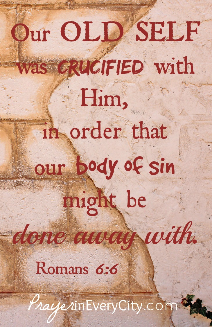 Romans 66 copy 2