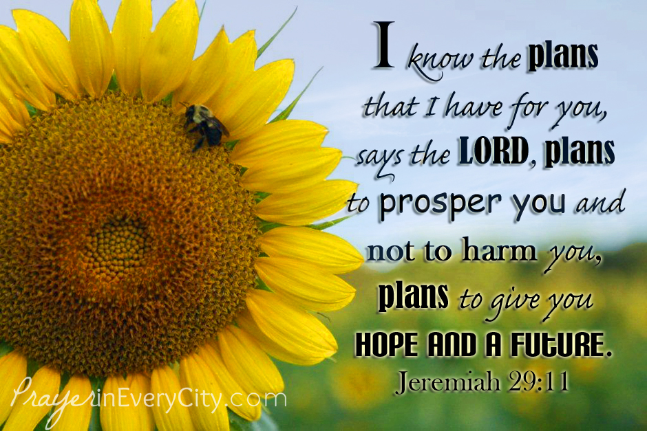 Jeremiah 29 sky H